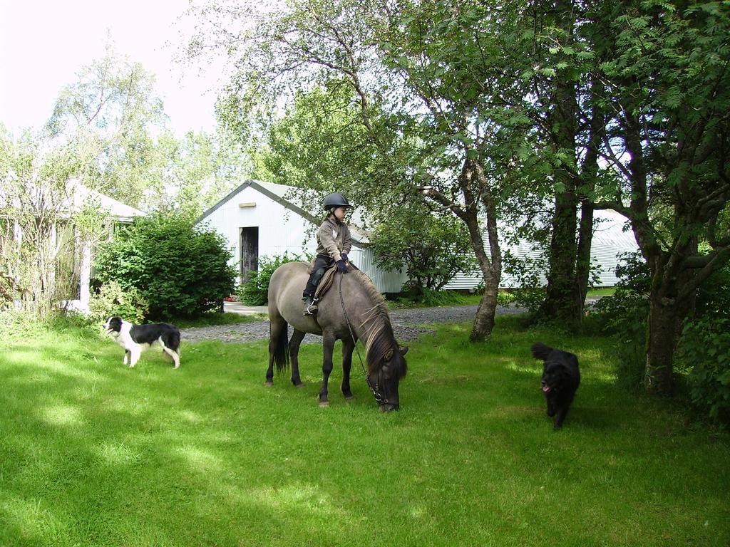 Arbakki Farmhouse Lodge Reykholt  Bagian luar foto